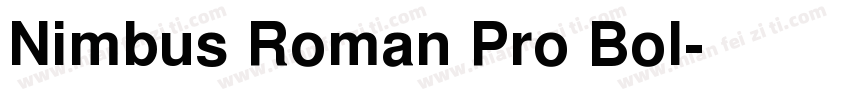 Nimbus Roman Pro Bol字体转换